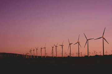 CleanMax and Amazon sign PPA for 100MW of Wind Energy